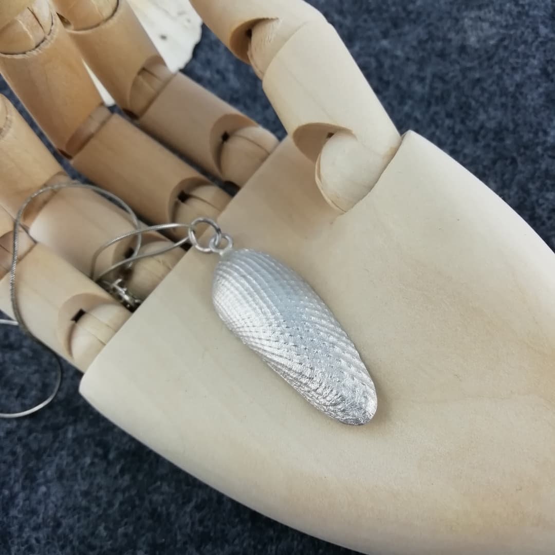 Beautiful necklace with a shell made of 925 silver